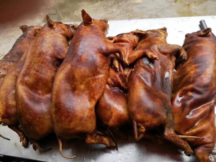 中国长寿之乡美食-巴马香猪